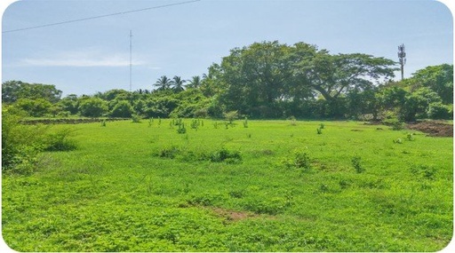Agendar Visita a Proyecto Lotificación Bypass Poza de Agua, Usulután